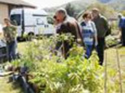 Foire aux plantes 2013
