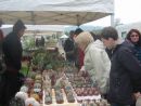 Foire aux plantes 2010