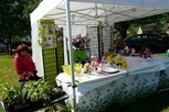 Foire aux plantes 2012