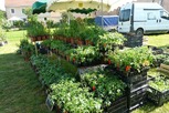 Foire aux plantes 2012