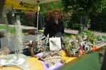 Foire aux plantes 2012