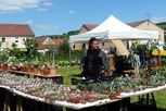 Foire aux plantes 2012