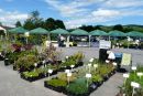 Foire aux plantes 2009