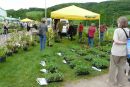 Foire aux plantes 2009