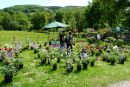 Foire aux plantes 2009