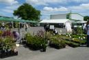 Foire aux plantes 2009