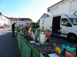 Foire aux plantes 2014