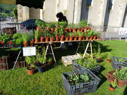 Foire aux plantes 2014