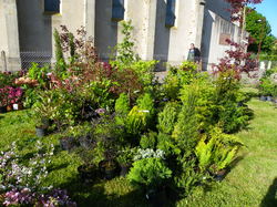 Foire aux plantes 2014