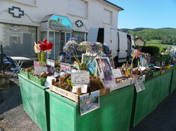 Foire aux plantes 2014