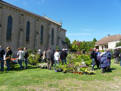 Foire aux plantes 2014