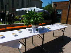 Foire aux plantes 2014