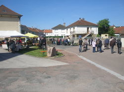 Foire aux plantes 2014