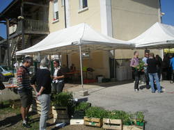 Foire aux plantes 2014