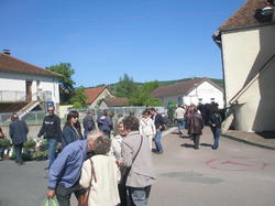 Foire aux plantes 2014