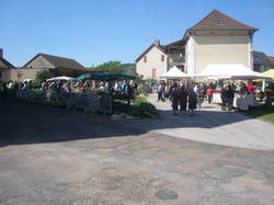 Foire aux plantes 2014
