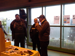 Foire aux plantes 2016