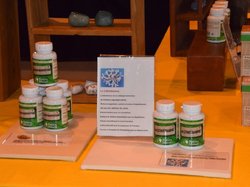 Foire aux plantes 2017