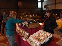 Foire aux plantes 2017