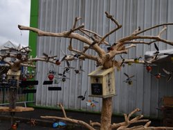 Foire aux plantes 2017