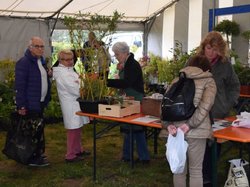 Foire aux plantes 2017