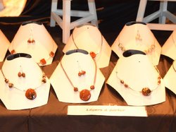 Foire aux plantes 2017