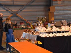 Foire aux plantes 2017