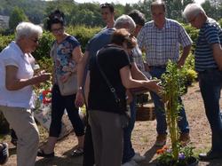 Foire aux plantes 2018