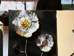 Foire aux plantes 2019