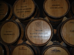 Journée Découverte 2021 région dijonnaise