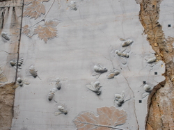 Journée Découverte 2021 région dijonnaise