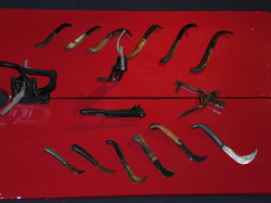 Journée Découverte 2021 région dijonnaise