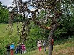 Visite exposition Raymond Rochette