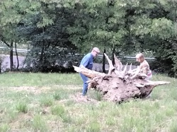 Visite exposition Raymond Rochette