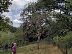 Visite exposition Raymond Rochette