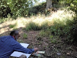 Visite exposition Raymond Rochette