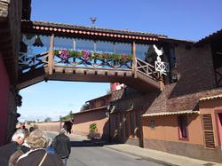 Voyage 2015 dans la Dombes