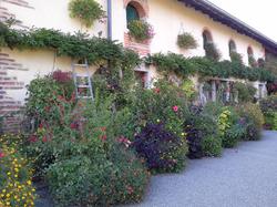 Voyage 2015 dans la Dombes