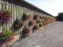 Voyage 2015 dans la Dombes