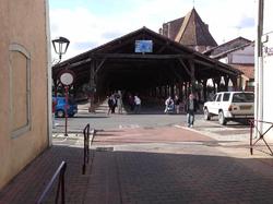 Voyage 2015 dans la Dombes