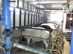 Voyage 2015 dans la Dombes