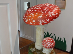 Voyage 2024 Centre Eden de Cuisery