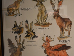 Voyage 2024 Centre Eden de Cuisery