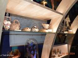 Voyage 2024 Centre Eden de Cuisery