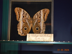 Voyage 2024 Centre Eden de Cuisery