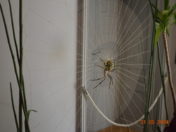 Voyage 2024 Centre Eden de Cuisery