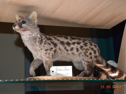 Voyage 2024 Centre Eden de Cuisery