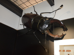 Voyage 2024 Centre Eden de Cuisery