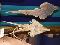 Voyage 2024 Centre Eden de Cuisery