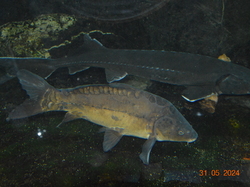 Voyage 2024 Centre Eden de Cuisery